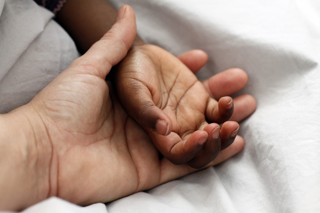 entdecken sie die freude an der haustieradoption! finden sie ihr perfektes pelziges familienmitglied in unserem tierheim. geben sie einem tier eine zweite chance und bereichern sie ihr leben mit liebe und freundschaft.