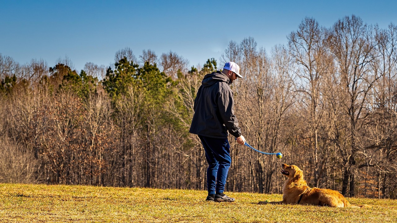 entdecken sie effektive methoden und techniken für das hundetraining, um die bindung zu ihrem vierbeinigen freund zu stärken und unerwünschtes verhalten zu korrigieren.