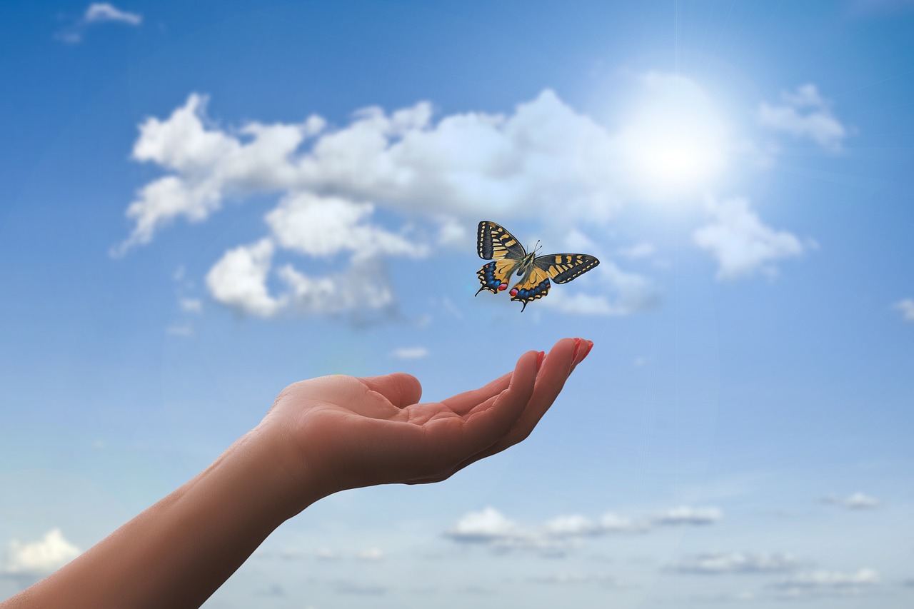 entdecken sie die welt des wellness – entspannung, erholung und wellness-anwendungen für körper und geist. genießen sie perfekte auszeiten, revitalisierende behandlungen und ein ganzheitliches wohlbefinden. tauchen sie ein in unsere wellness-oasen und lassen sie den stressigen alltag hinter sich.