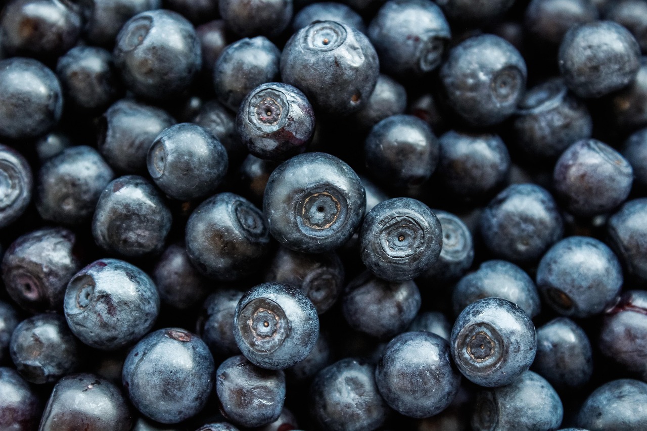 entdecken sie die grundlagen der ernährung und erfahren sie, wie eine ausgewogene ernährung ihr wohlbefinden verbessern kann. tipps, rezepte und ratschläge für eine gesunde lebensweise.