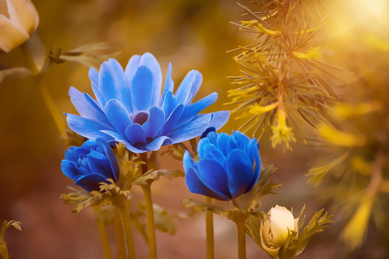 entdecken sie unsere besten tipps für den frühling im garten. erfahren sie, wie sie ihre pflanzen pflegen, den boden vorbereiten und eine blühende oase schaffen können.
