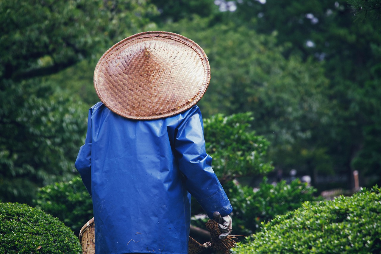 entdecken sie wertvolle tipps für die frühlingsgartenpflege! erfahren sie, wie sie ihre pflanzen optimal vorbereiten, effektives gärtnern betreiben und ihren garten zum blühen bringen. perfekt für gartenliebhaber und hobbygärtner!