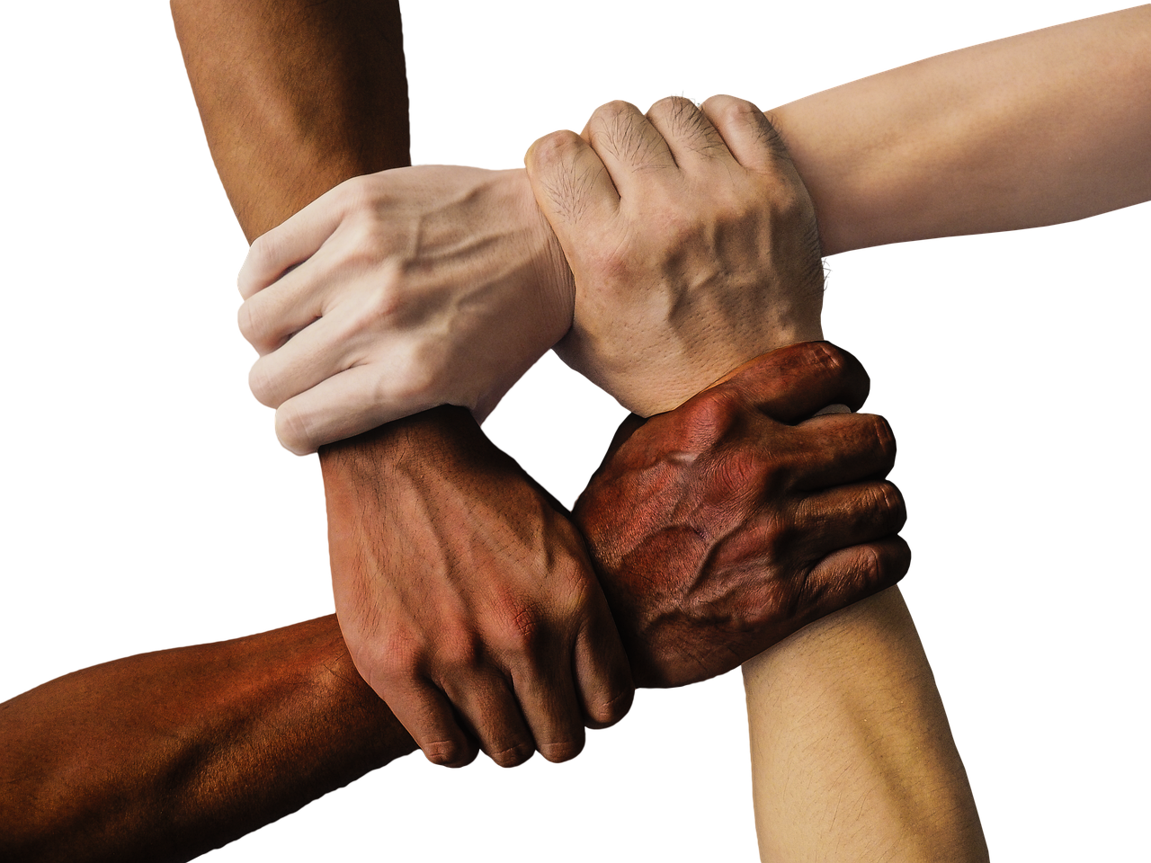 entdecken sie die kraft der gemeinschaft! verbinden sie sich mit gleichgesinnten, teilen sie ideen und erleben sie unterstützende netzwerke. seien sie teil einer inspirierenden community, die engagement und zusammenarbeit fördert.