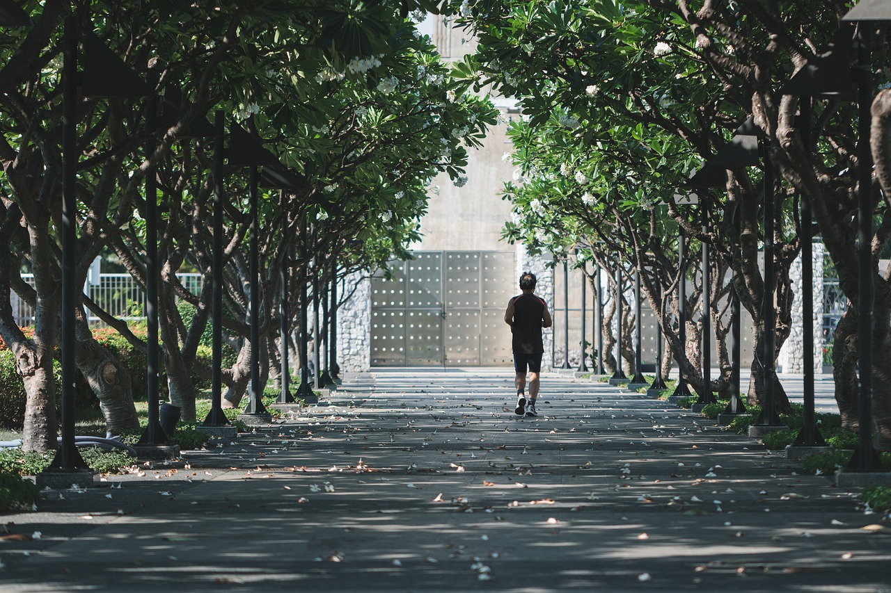 entdecken sie die besten fitness-tipps und -tricks für ein gesundes und aktives leben. erfahren sie, wie sie ihre ziele erreichen und ihre fitnessreise erfolgreich gestalten können.