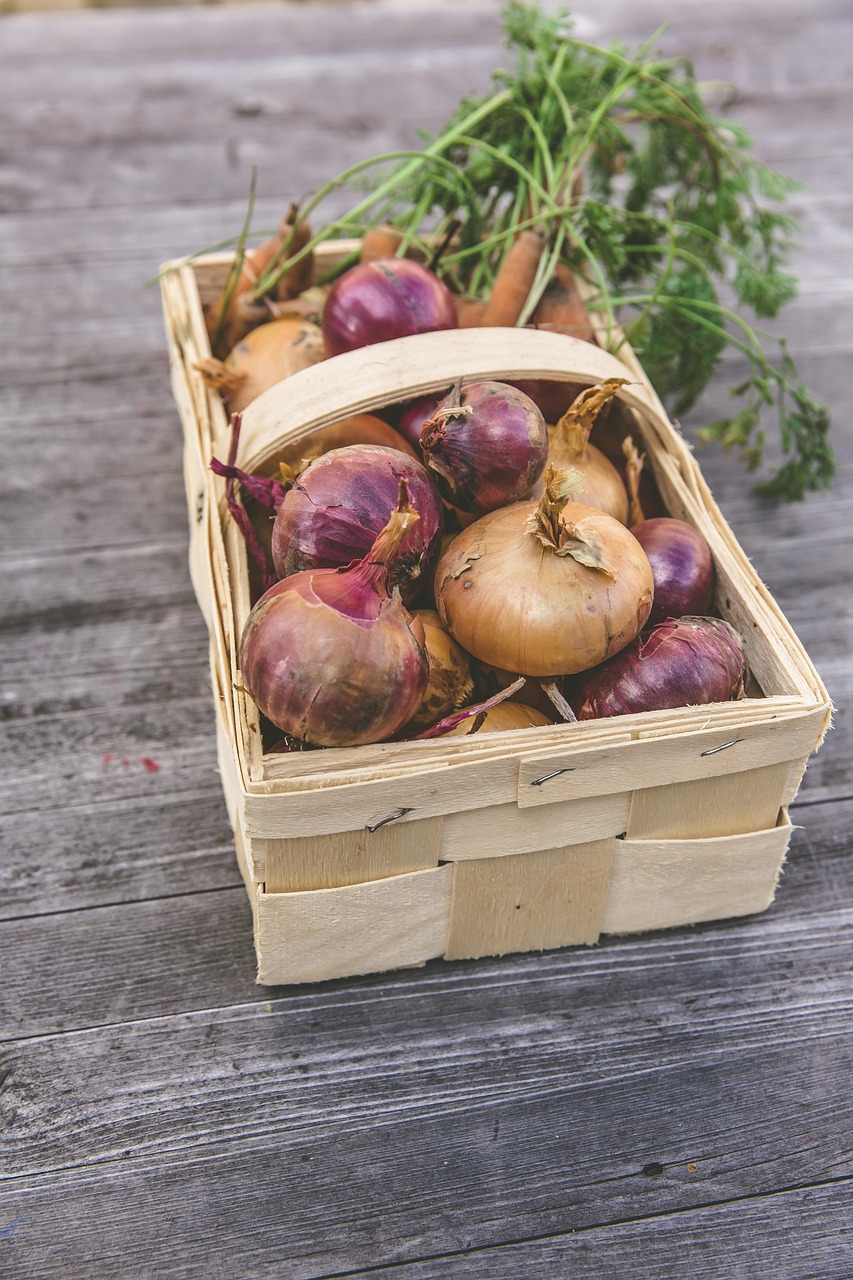 entdecken sie nachhaltige wohnkonzepte für ein umweltfreundliches und energieeffizientes zuhause. tipps und ideen für ein grünes, gesundes wohnen.