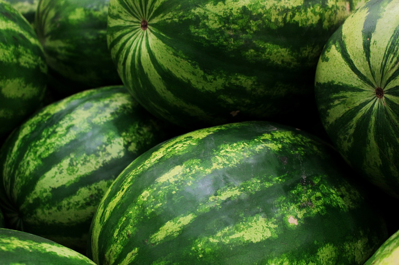 entdecken sie frisches, saisonales obst und gemüse! genießen sie den geschmack der jahreszeiten und profitieren sie von nährstoffreichen produkten direkt vom bauernmarkt.