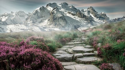 Modestudien: Ein Überblick über die wichtigsten Aspekte