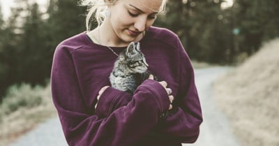 Haustiere: Die besten Tipps zur Pflege und Haltung
