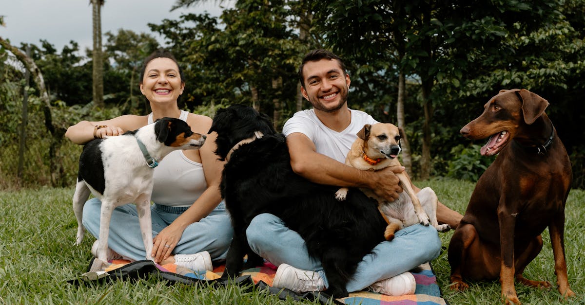 Wie man Tiere richtig pflegt: Ein Leitfaden für Tierbesitzer