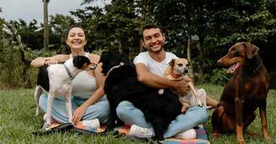 Wie man Tiere richtig pflegt: Ein Leitfaden für Tierbesitzer