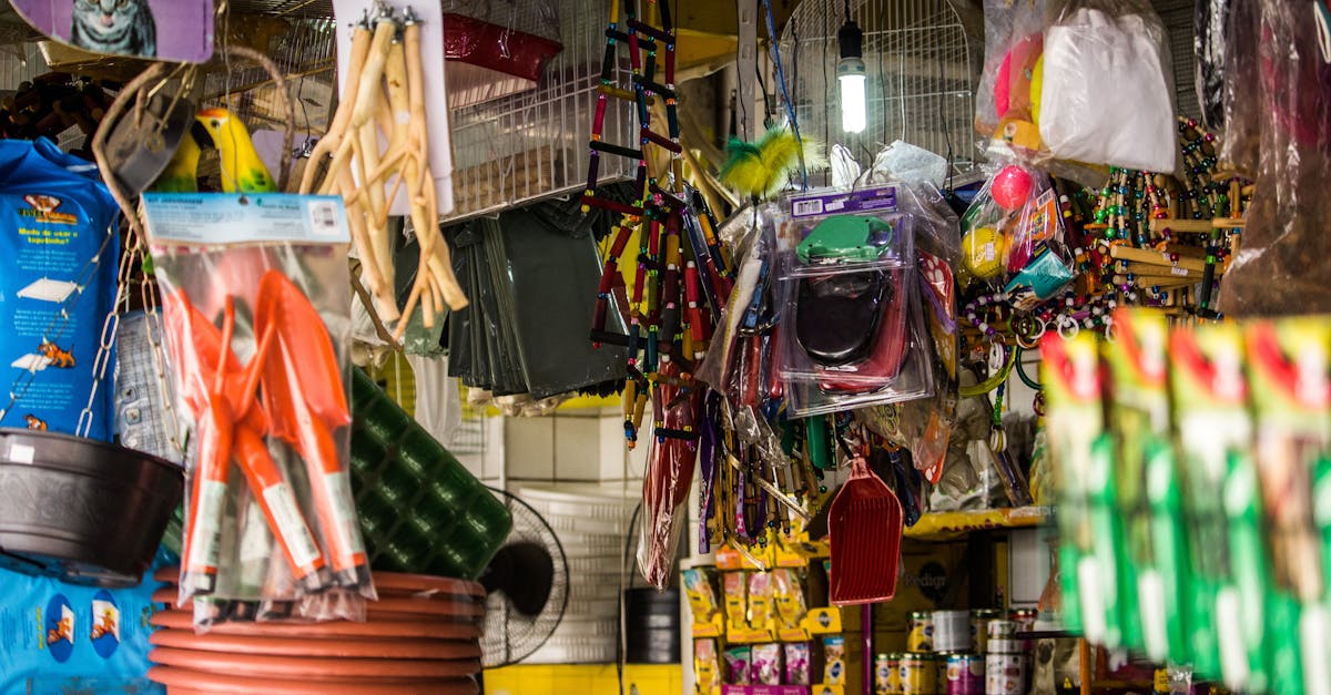 Haustierbedarf: Die besten Produkte für Glückliche Tiere