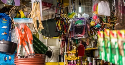 Haustierbedarf: Die besten Produkte für Glückliche Tiere