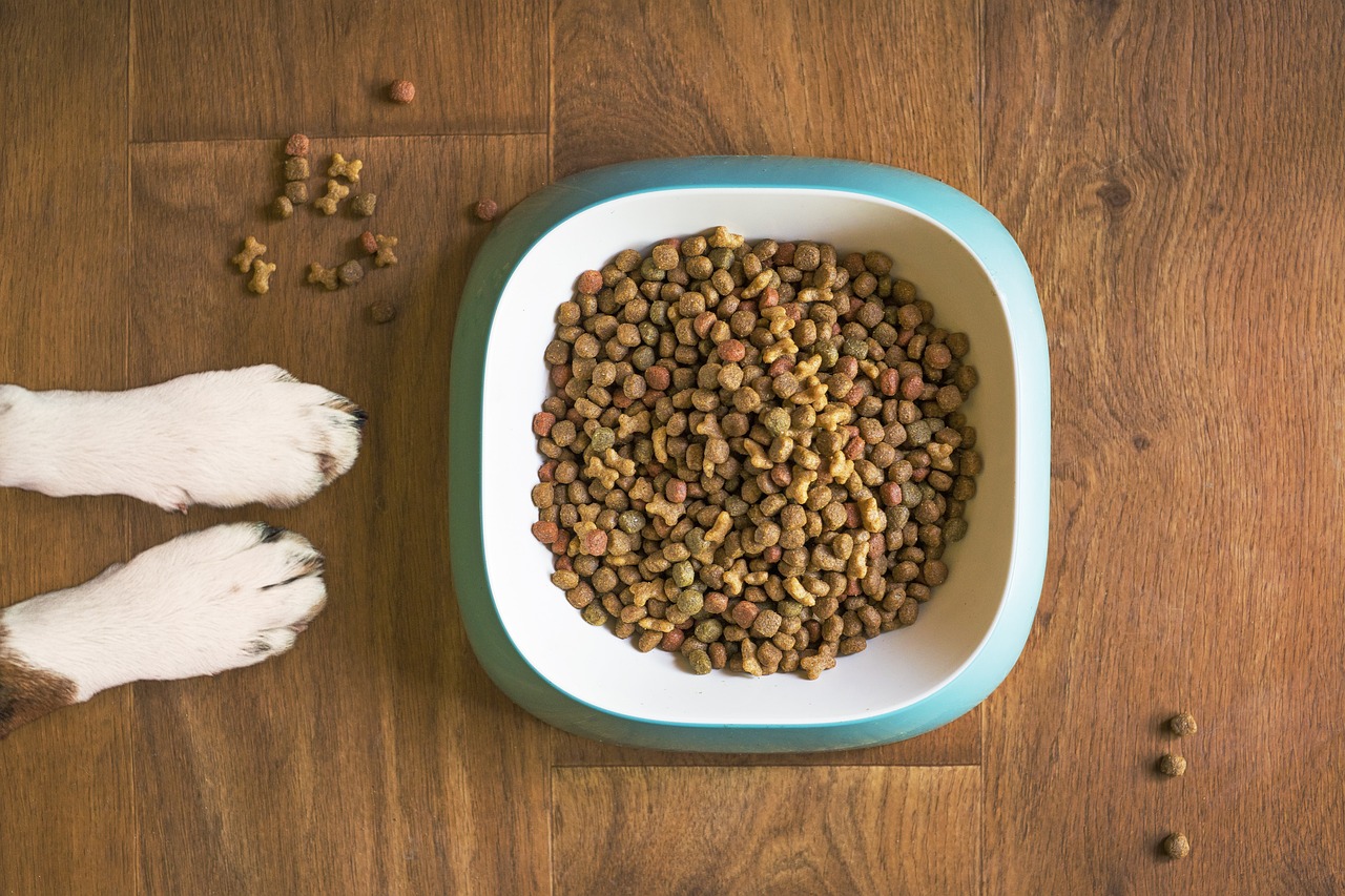 Haustierernährung: Tipps für eine ausgewogene Ernährung Ihrer Tiere