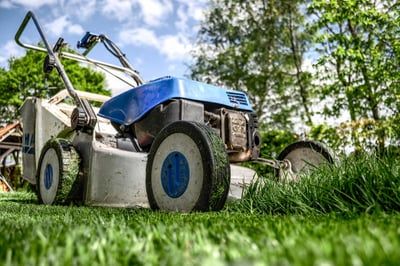 Tipps für effektive gartenarbeit im frühling